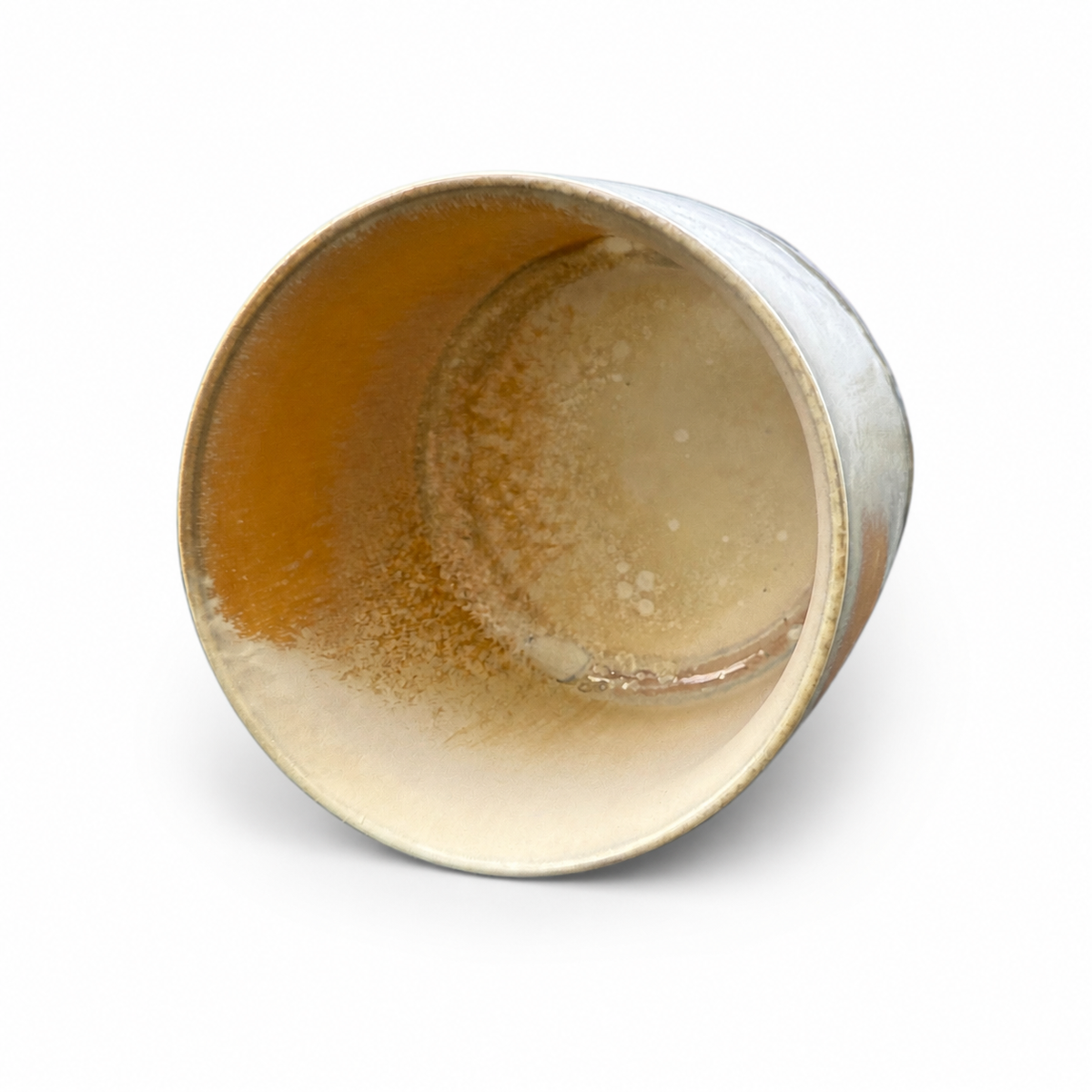Shoreline — interior on white background